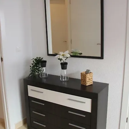 Flat La Marina Del Pinet * אליקאנטה